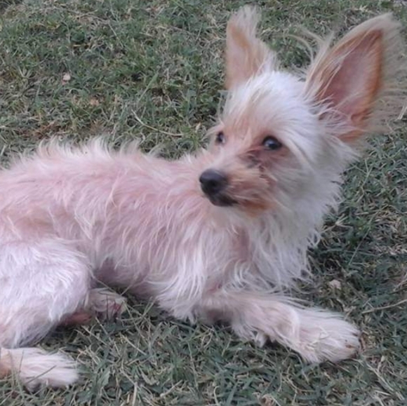 Trusted Seller !!! - Picture 8 of 8